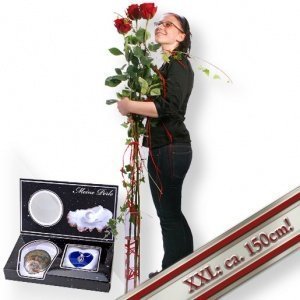 3 Echte Riesen-Rosen und Meine Perle
