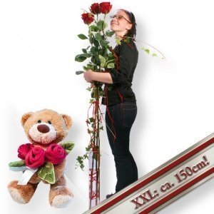 3 Echte Riesen-Rosen und Rosenkavalier