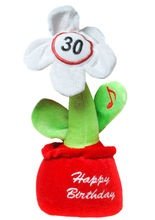 30. Geburtstag Singende Blume Happy Birt