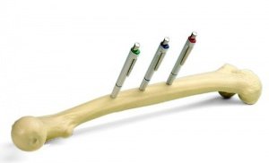 Oberschenkelknochen- Stiftehalter