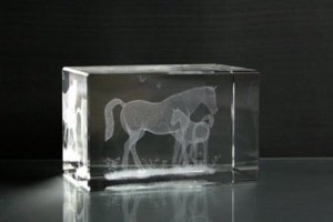 3D-Laserwürfel Pferde