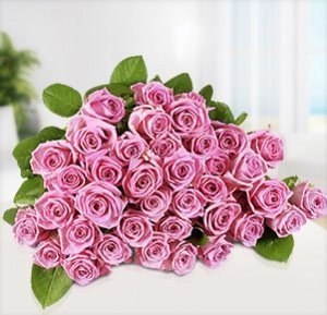 40 pinke Rosen