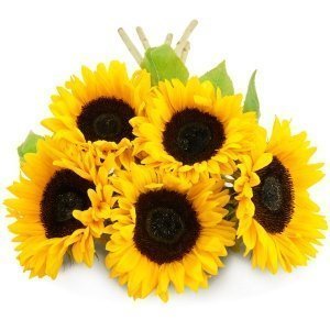 5, 7 oder 10 Sonnenblumen im Bund