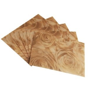 5 Briefumschläge Transparent Rosen antik