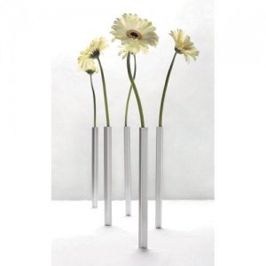 5 FREUNDE Blumenvasen-Set