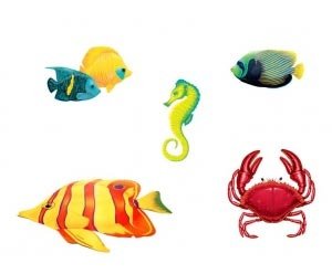 5 Schilder *Meerestiere*