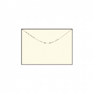 50 Briefumschläge, Metallic-Champagner