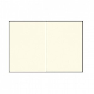 50 Doppelkarten B6, Metallic Champagner