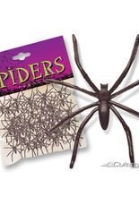 50 Schwarze Spinnen