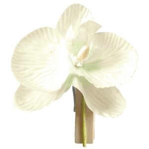 6 Deko-Klammen Orchidee, creme