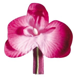 6 Deko-Klammern Orchidee, fuchsia