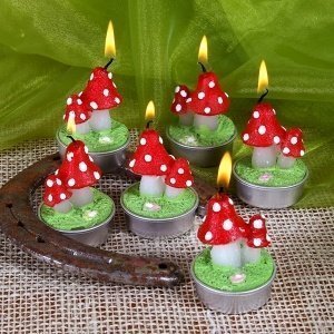 6 Teelichter Pilze in Geschenkbox