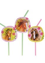 8 Trinkhalme Pferde Kindergeburtstag Dek