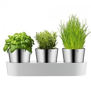 Für Frischkräuterfans: das Kräutergarten-Set von WMF aus Edelstahl