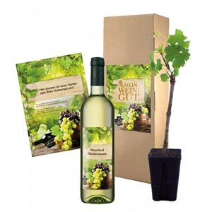 Das ganz persönliche Weingut