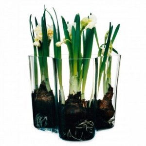 Aalto Vase 160 mm klar