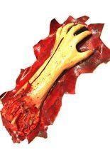 Abgehackter Arm Halloween-Deko beige-rot