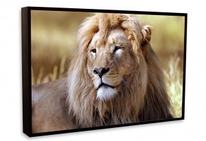 Acryl-Glas mit Rahmen 40x30