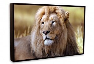 Acryl-Glas mit Rahmen 80x60