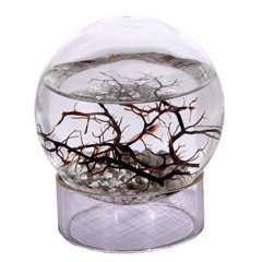 Acryl Ringständer für kleine EcoSphere K