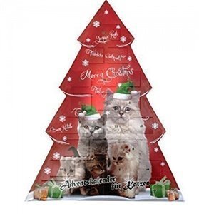 Adventskalender für Katzen Katzenspielze