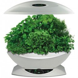 Aero Garden