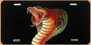 Airbrush - Schild Schlange incl. Wunscht