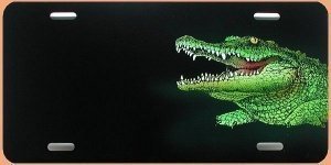 Airbrushkunst - Schild Krokodil incl. Wu