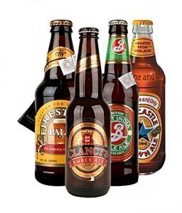 Ale Bier Paket (1551ml Set)