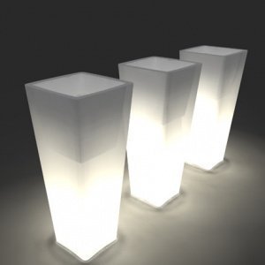 All So Quiet Pflanzentrog