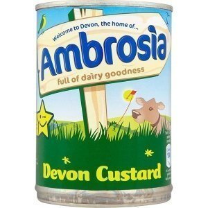 Ambrosia Devon Custard