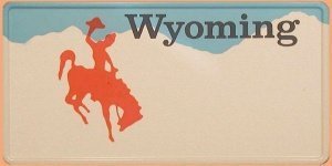 Amerikanisches KFZ-Kennzeichen Wyoming m