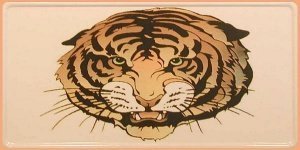 Amerikanisches Schild für einen Truck mi