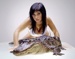 Animalisches Fotoshooting