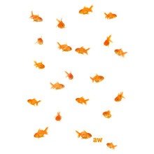 Anna Wand - Wandsticker Goldfische M Vin