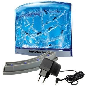 AntWorks Illuminated Set (Blau)