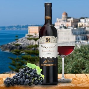 Antica Vigna IGT 2008 Puglia Terra dei M