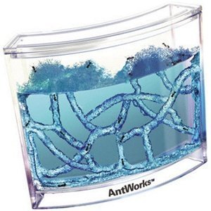Antworks