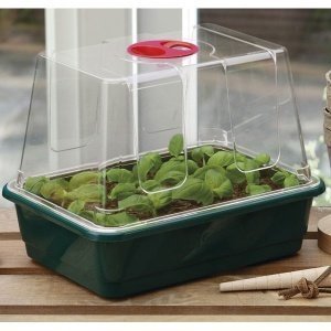 Anzuchtkasten "High Dome", klein