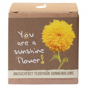 Anzuchtset "Sunshine Flower" - Teddybär Sonnenblume