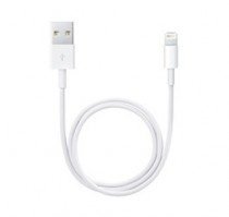 Apple Lightning auf USB Kabel 0,5m
