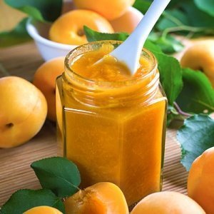 Aprikosen Konfitüre Confettura Albicocca