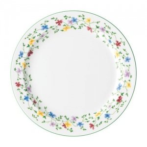 Arzberg Form 1382 Cambridge Speiseteller