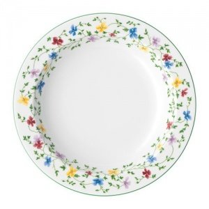 Arzberg Form 1382 Cambridge Suppenteller