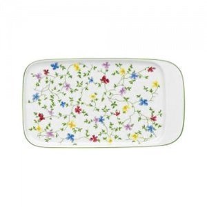 Arzberg Form 1382 Cambridge Teller M 14x