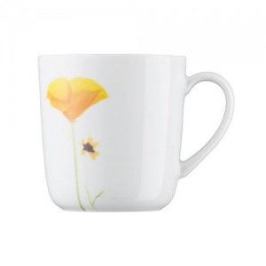 Arzberg Form 1382 Sommerwiese Henkelbech