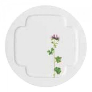 Arzberg Form 1382 Sommerwiese Teller L 2