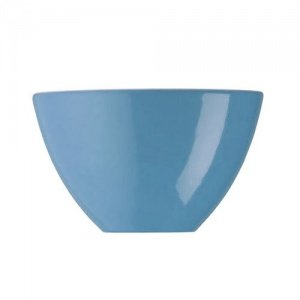 Arzberg Profi Kaffeegenuss Blue Schüssel