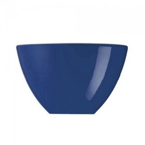 Arzberg Profi Kaffeegenuss Cobalt Schüss