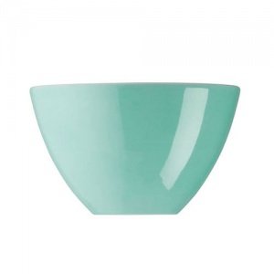 Arzberg Profi Kaffeegenuss Cyan Schüssel